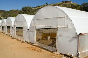 Front View of cfhar Solexx Greenhouse