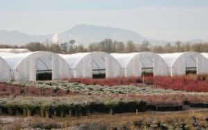 Solexx on Hoop House Endwalls