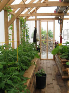 Gardening in a greenhouse is especially popular during the pandemic