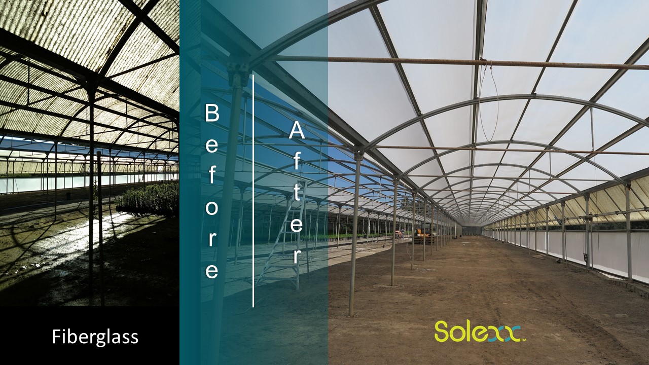 Greenhouse frame retrofitted with Solexx greenhouse cover material. Before and after pictures. From dark to light.